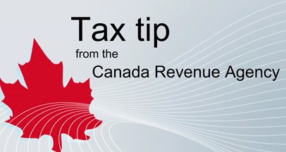 CRA audit